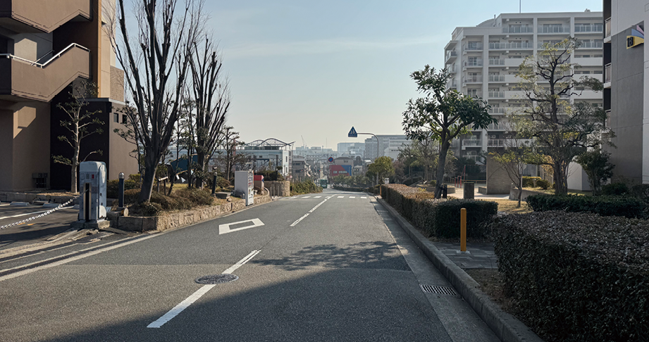 堤内地側の緩やかな傾斜(令和7年(2025年)1月撮影)