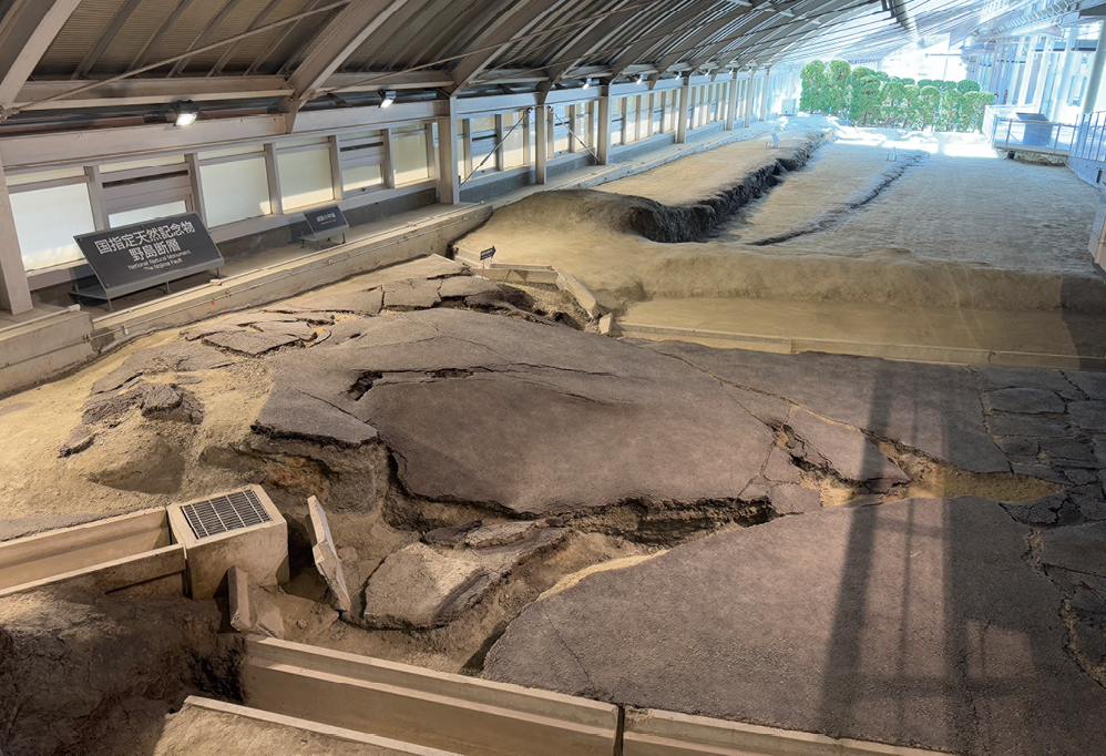 淡路島の北淡町の野島断層保存館で保存されている野島断層（令和7年（2025年）1月撮影）