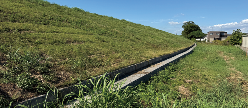 堤防の裏法。法尻には浸透した水を排水するドレーンが設置されている（令和7年（2025）年9月撮影）