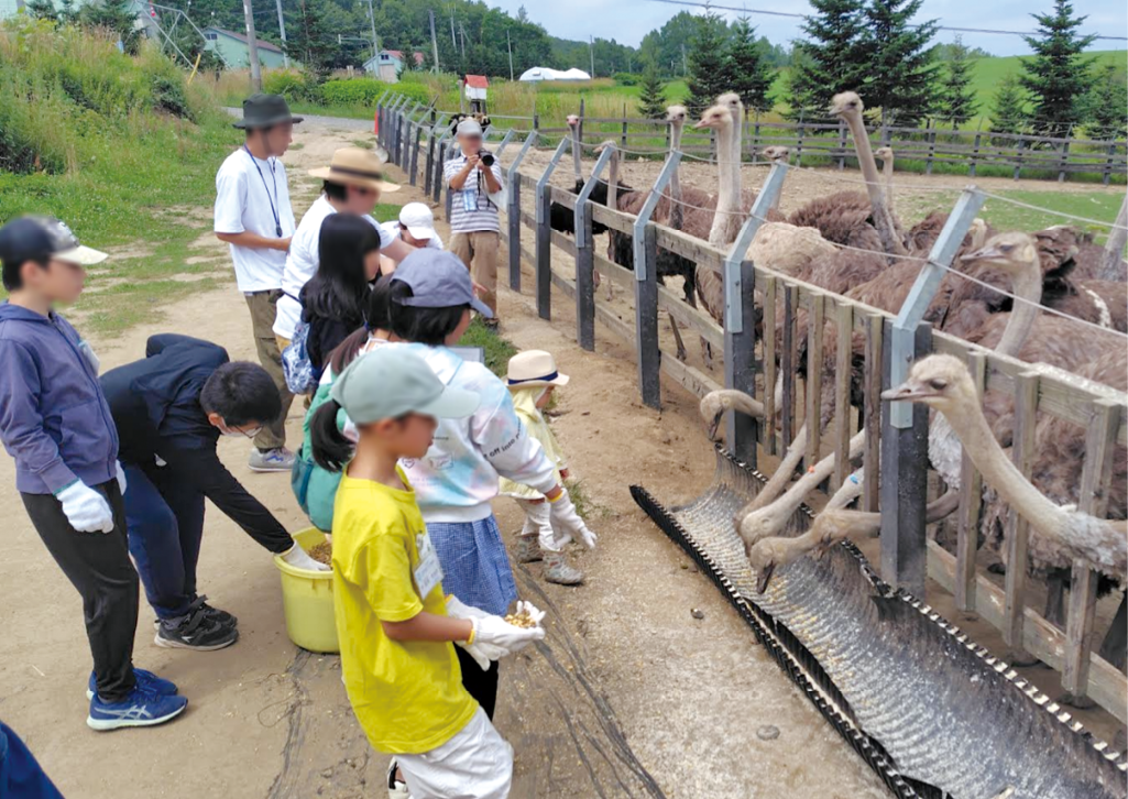 写真1 「だちょう牧場」でのフィールドワーク（令和7年（2025年）7月撮影）