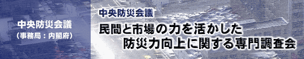 民間と市場の力を活かした防災力向上に関する専門調査会